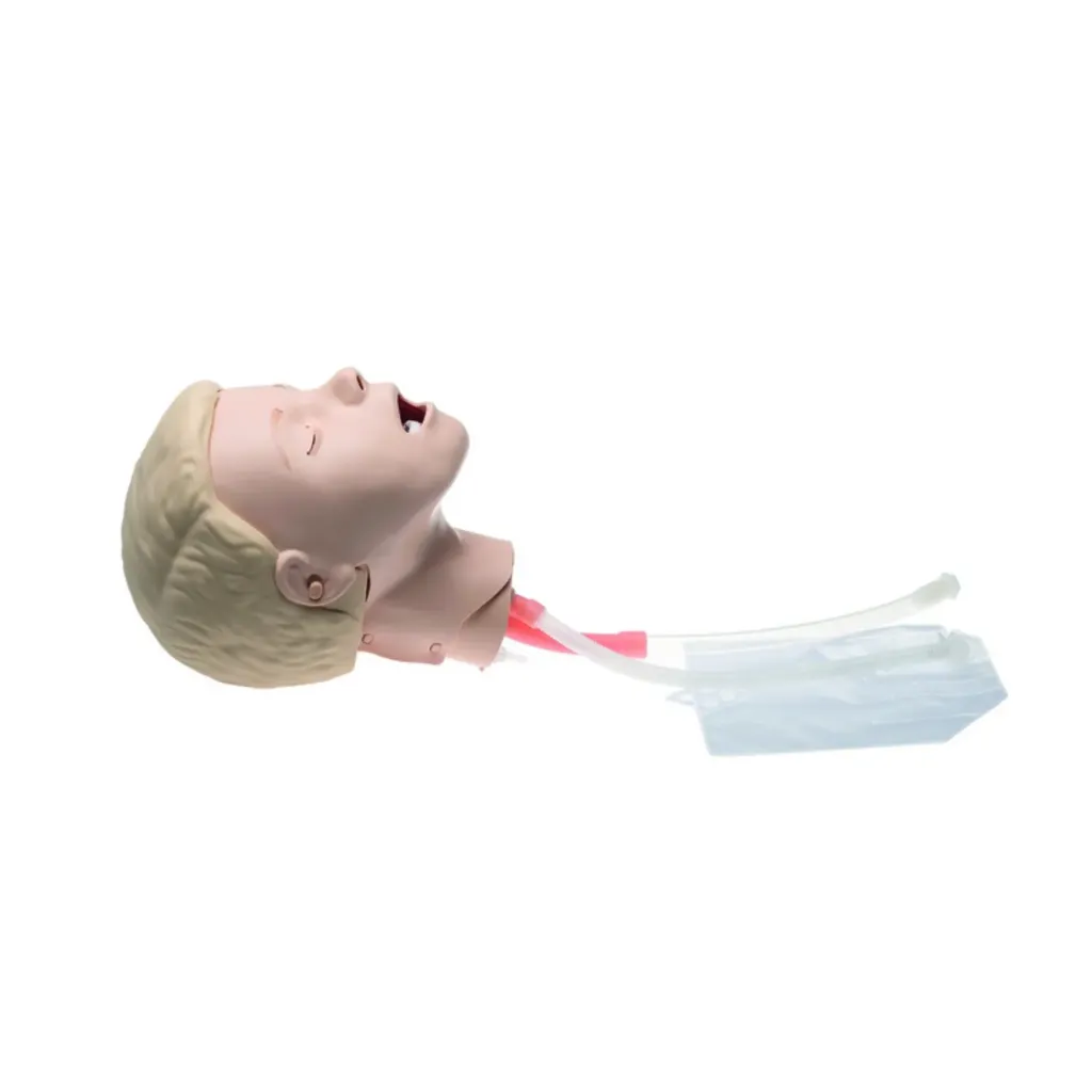 [182-50010] Laerdal Resusci Junior Airway Head, Upgrade Kit