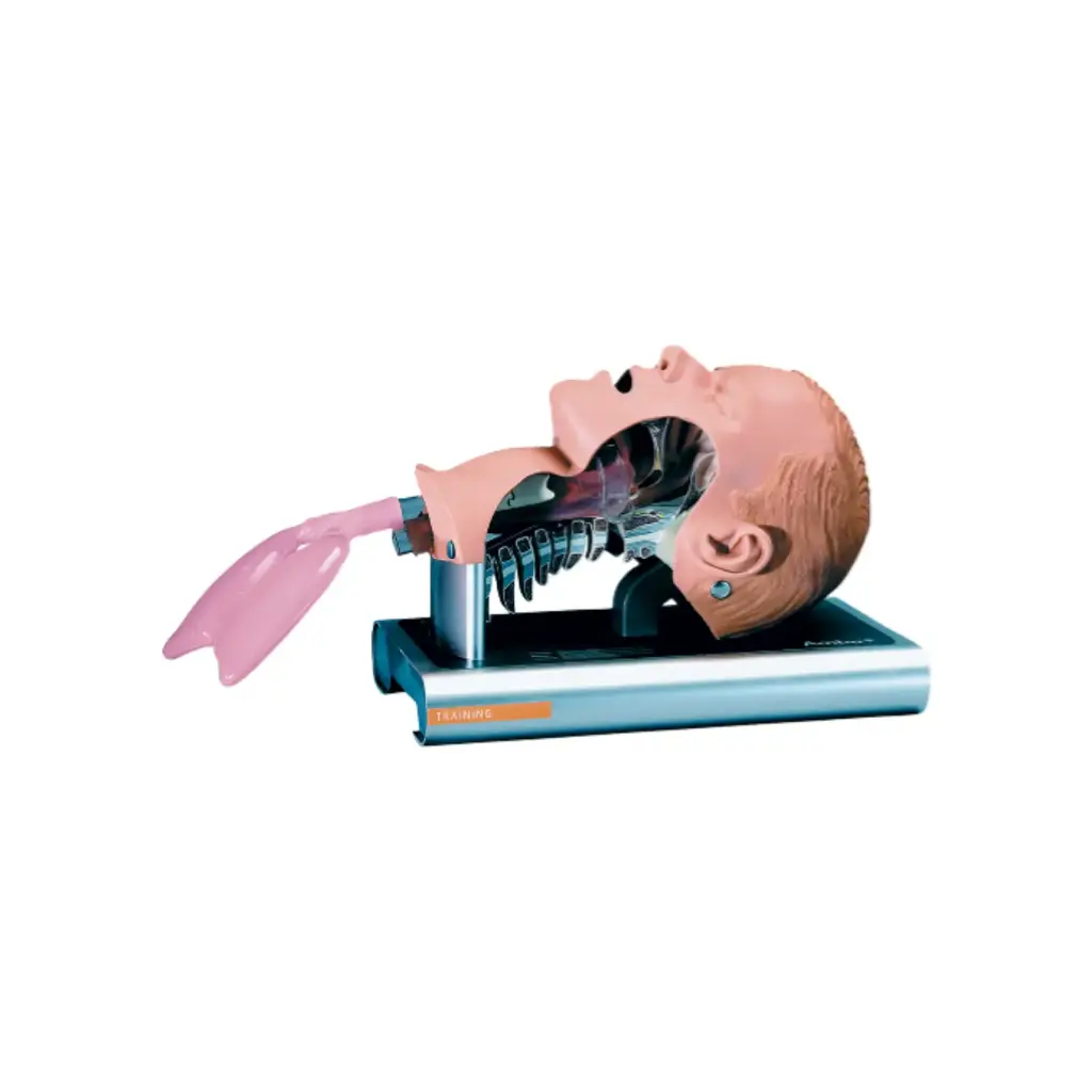 [186002000] AMBU Intubation Trainer