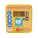 Outdoor Heated Polycarbonate AED Cabinet PL LOCKED