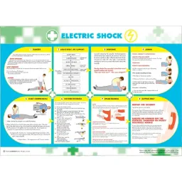 Poster Electric Shock 59cm x 42cm